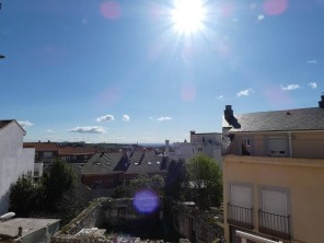 Vistas